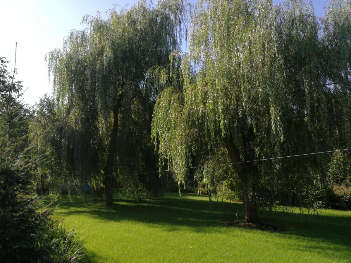 Villa Eden Ślesin Kültér fotó